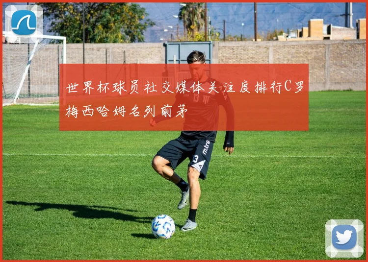 世界杯球员社交媒体关注度排行C罗梅西哈姆名列前茅